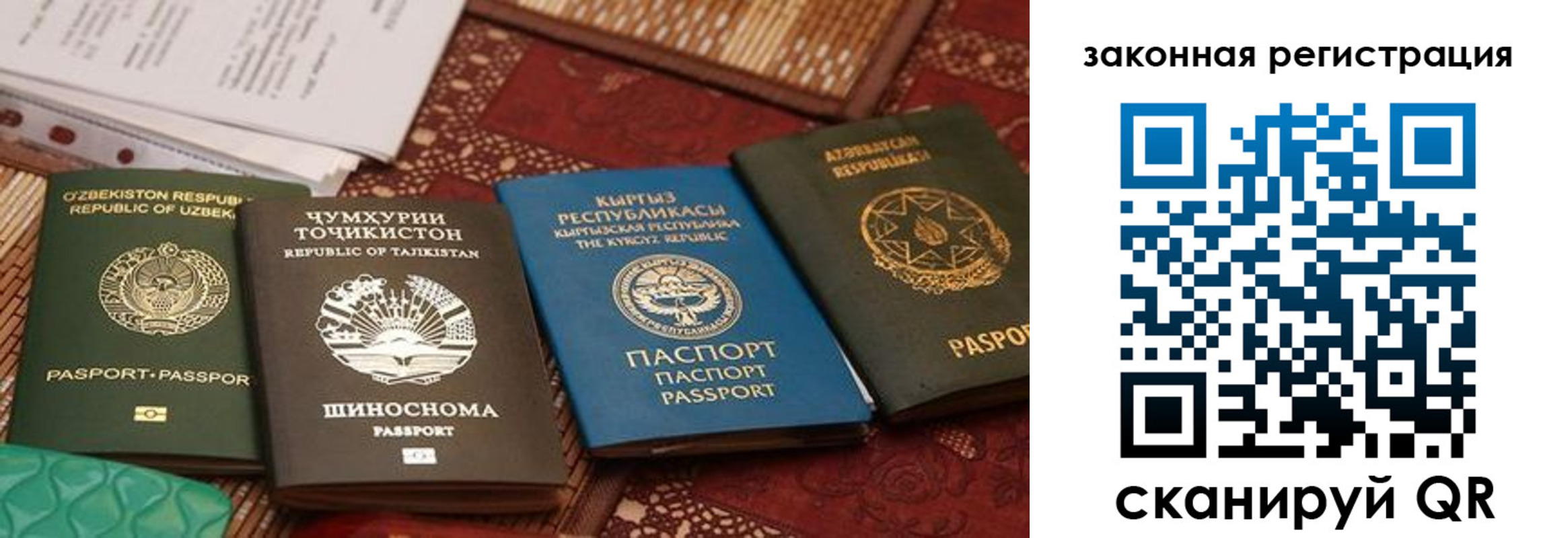 пропишу в квартире в Опочке